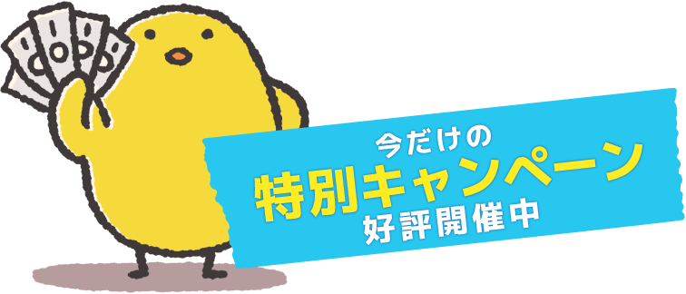 限定割引